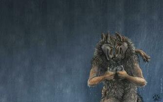 Furry Shounen Ai Rain Shounenai Wolves Wallpaper