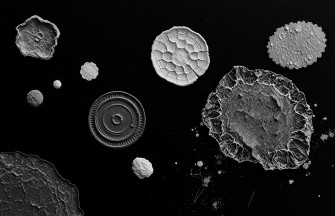 Pictures Of Black Background