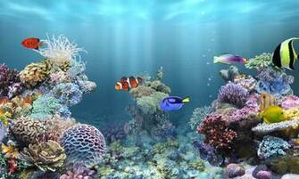 Anipet Marine Aquarium HD Applications Android Et Tests Androidpit