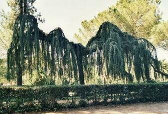 Kb Jpeg Circo Romano Roma X