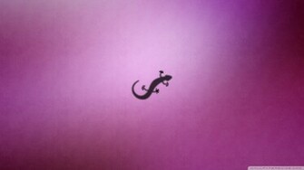 Gecko Wallpaper