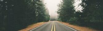 Forested Road T S Online Marketing Linkedin Background Image