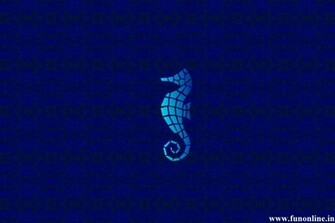 Seahorse Wallpaper Cute Water Creature Seahorses