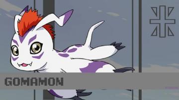 Gomamon Wallpaper By Roscio2