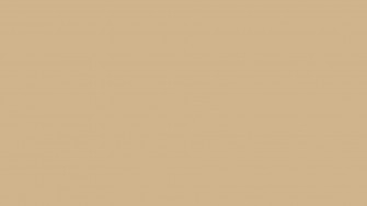 Tan Wallpaper Desktop
