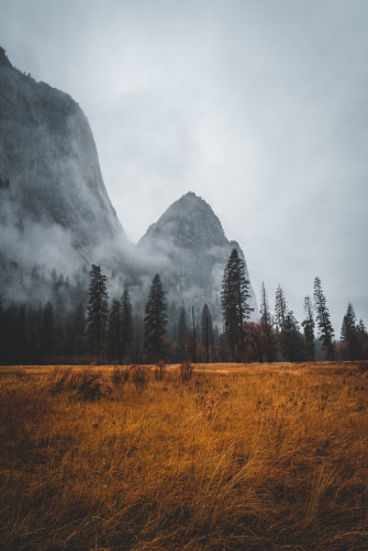 iPhone Xr Wallpaper HD Hq