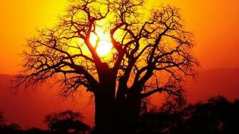 HD African Art Wallpaper