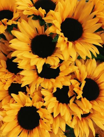 Travel Aesthetic Wallpaper Yellow Plain iPhone
