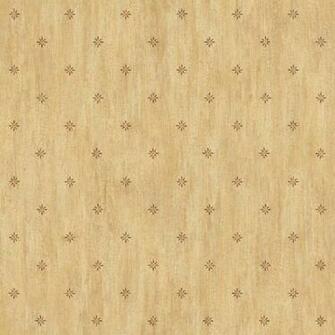 Warner Wallcoverings Chesapeake Stencil Starburst