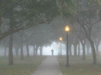Foggy Road Wallpaper Pictures Pics Photos Image Desktop
