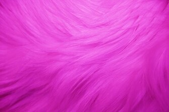 Hot Pink Fur Texture High Resolution Photo Dimensions