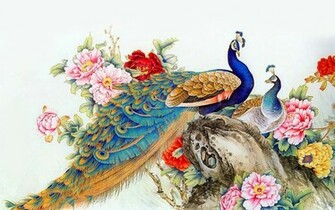 Peacock Wallpaper Cool HD