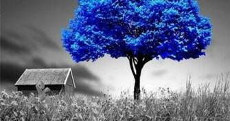 Surreal Desktop Nexus Nature Wallpaper And Background