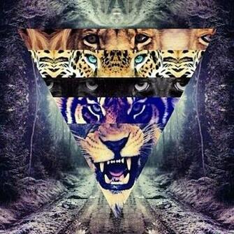Illuminati Photography Shapes Edited Lion