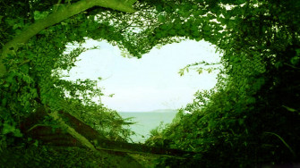 Green Tree Wallpaper