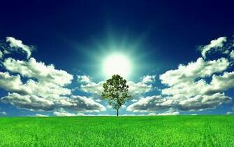 Vast Field Wallpaper Background Image Design Trends