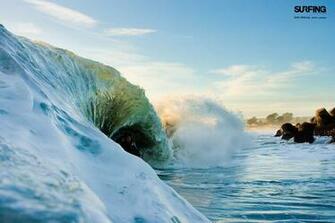 June Issue Wallpaper Surfing Magazine