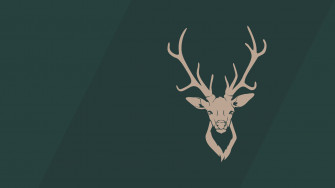 Deer Desktop Wallpaper
