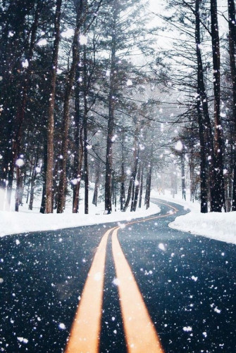 Wolverxne Untitled By Imthejam Winter Photography
