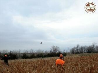 Ridge Lodge Pc Pheasant And Turkey Hunting Wallpaper South Dakota