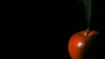 Apple Fruit Wallpaper Hq