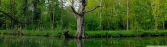 May Nature Wallpaper HD Res