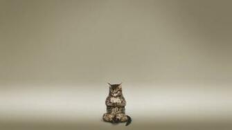 Weekly Wallpaper Make Your Desktop Meditate With These Zen Inspired