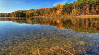 Coniferous Forest Lake Wallpaper Open Walls