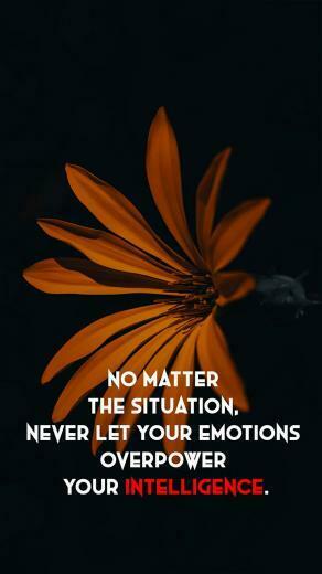Best Motivational Quotes Wallpaper HD Brain Hack