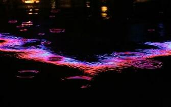 Neon Lights Wallpaper