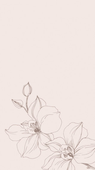 Color Wallpaper iPhone Flower Background