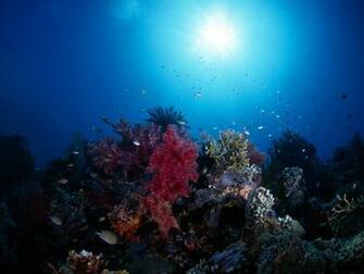 Deep Blue Sea Wallpaper Background Desktop