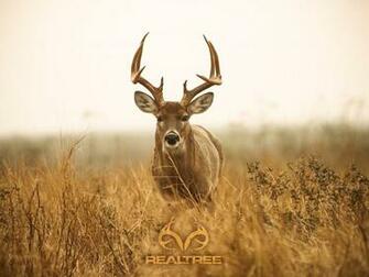 Deer Hunting Wallpaper HD Net
