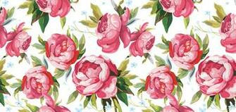 Wallpaper Peony Petals Buds Drawing Art Textures