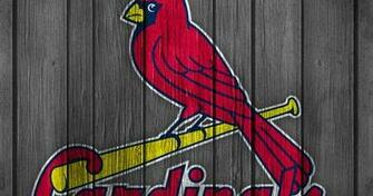 St Louis Cardinals Birds My Sports