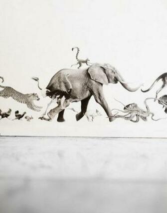 Beware The Moon Wallpaper Animal Border By Just