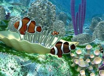 Aquarium Screensaver Windows
