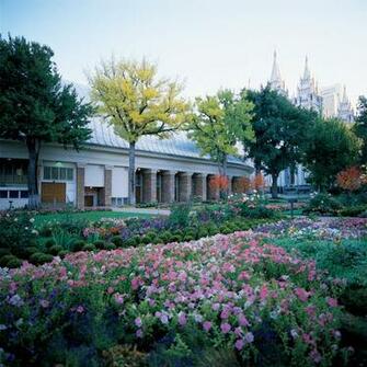 The Church Of Jesus Christ Latter Day Saints
