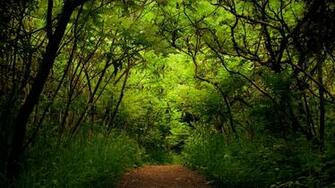 High Resolution Wallpaper You Are Ing The Nature