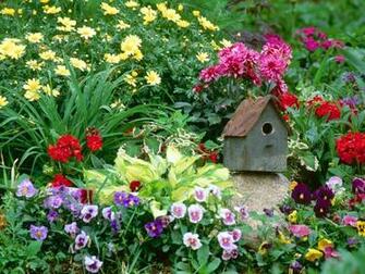Garden Tour Tea Sunday July 28th South Peace Community Arts