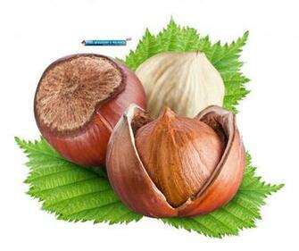 High Definition HD Wallpaper Nuts