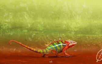 Chameleon Wallpaper Desktop