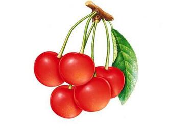 Red Cherry Desktop Pc And Mac Wallpaper