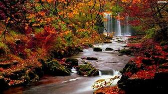 Autumn Forest Waterfall Wallpaper