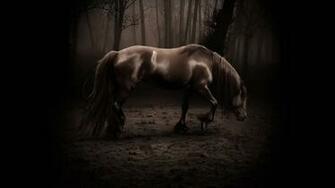 So Sad Animal Lovers Wallpaper