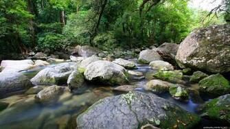 Nature Streams Hills Mountain Stream