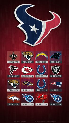 Houston Texans Wallpaper Pro Sports Background