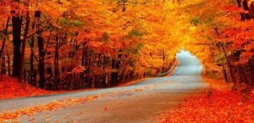 Autumn Season HD Wallpaper Amazon Appstore For Android