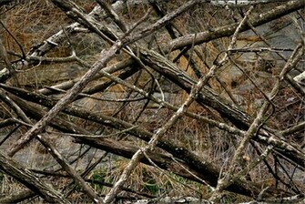 Lost Camo At The Official Of Mission Archery