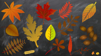 Chalkboard Wallpaper